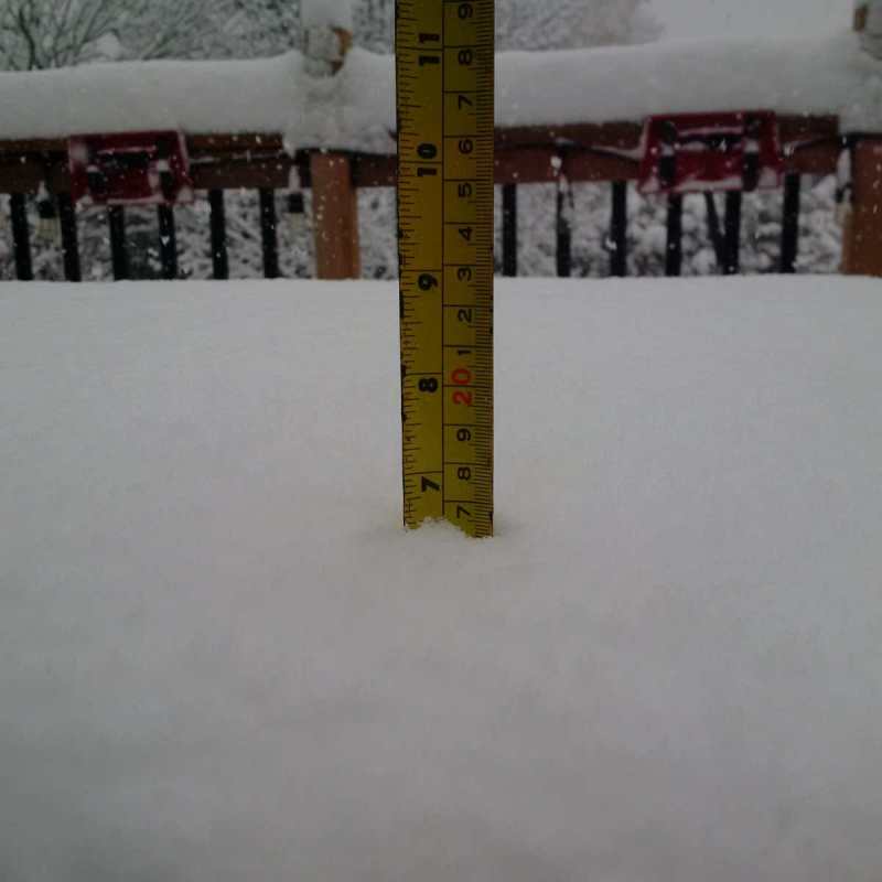 Sault-7-inches.jpg